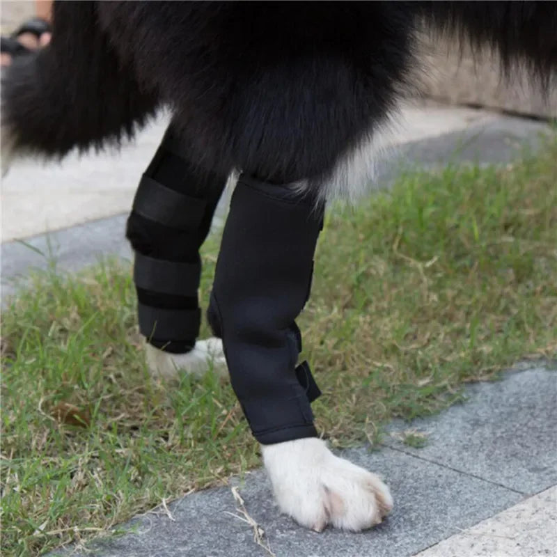 DualLink Joint Protectors