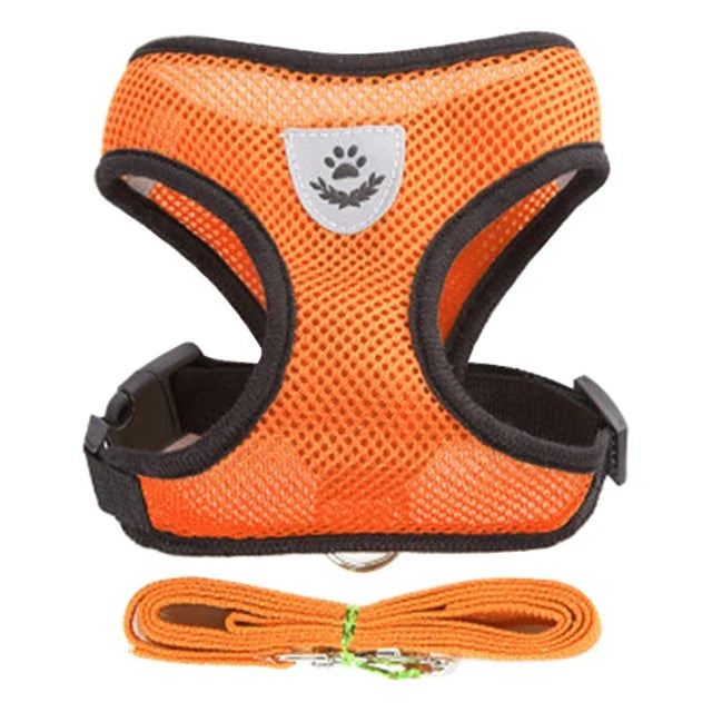 FlexiFit Adjustable Pet Harness & Leash Set