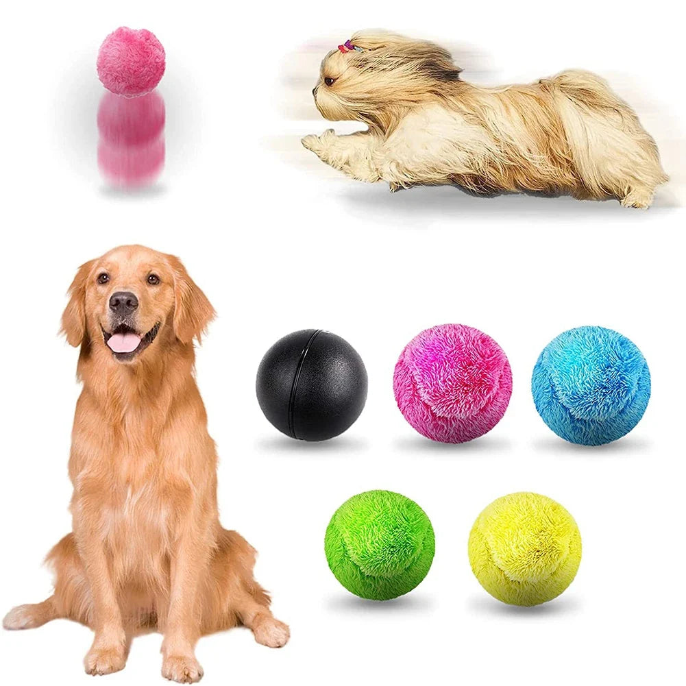 Auto-Glide Active Ball