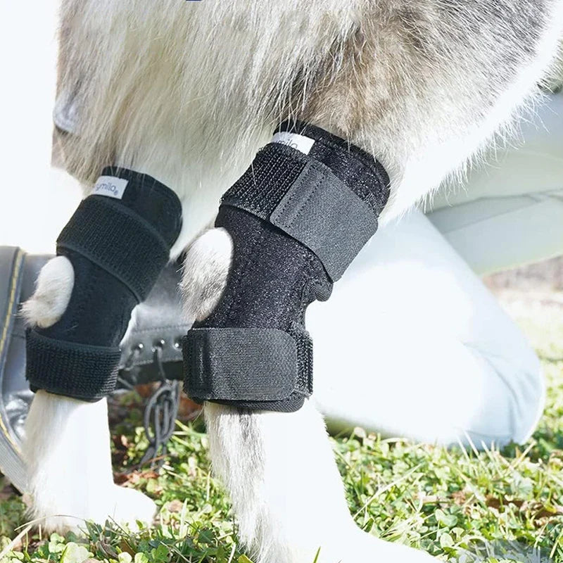 JointGuard Dog Leg Support Wrap