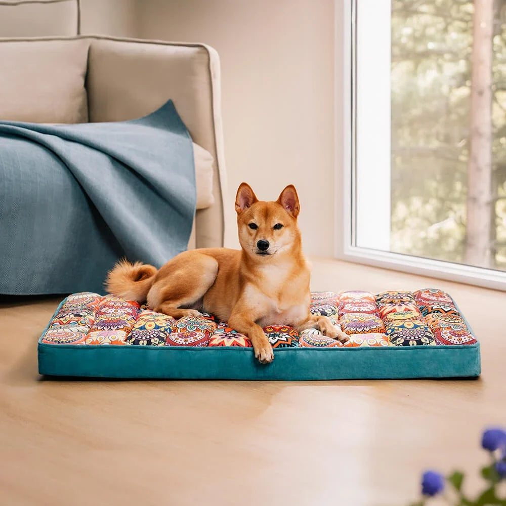Maroccan Orthopedic Bed