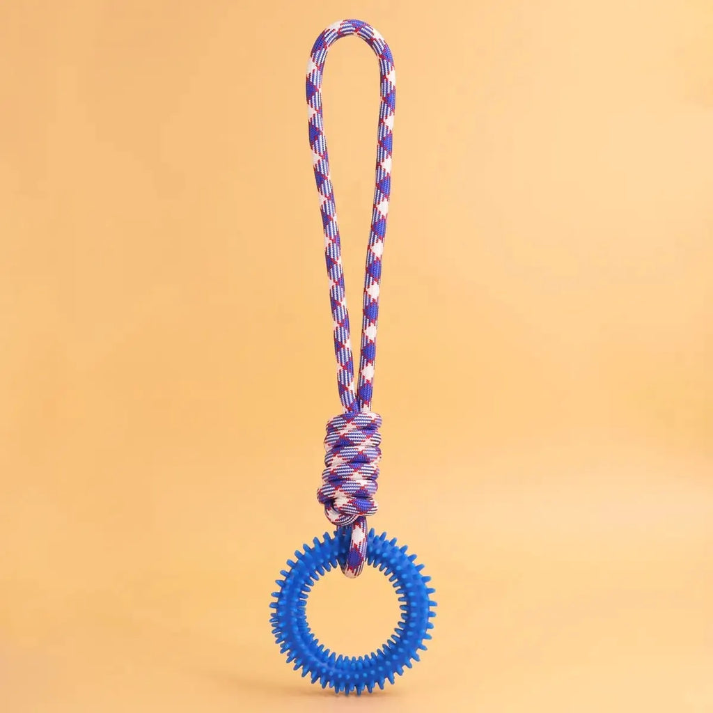 Dental Care Ring