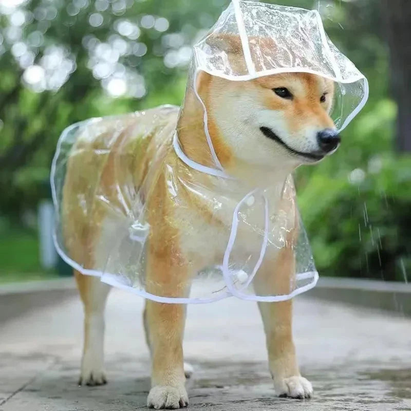 Clear Waterproof Raincoat