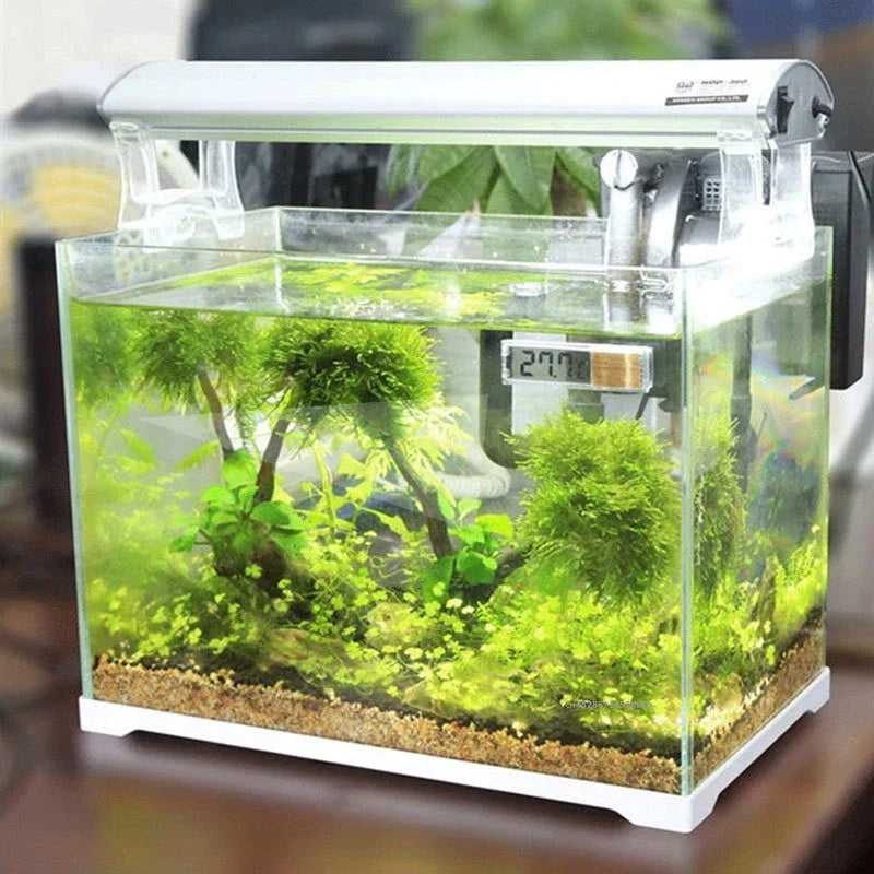 Digital Aquarium Thermometer