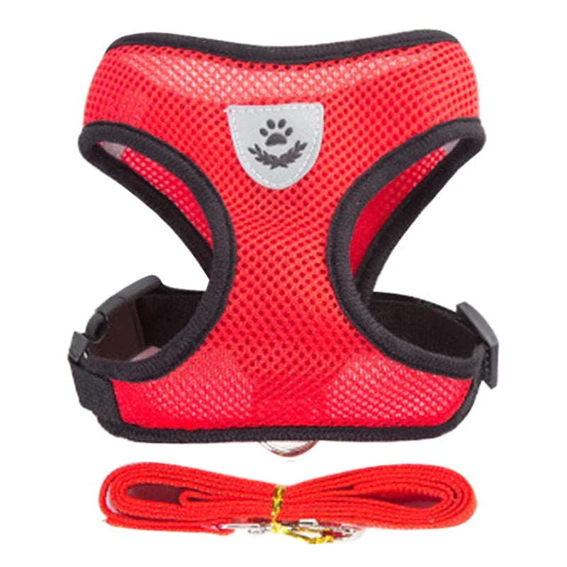 FlexiFit Adjustable Pet Harness & Leash Set