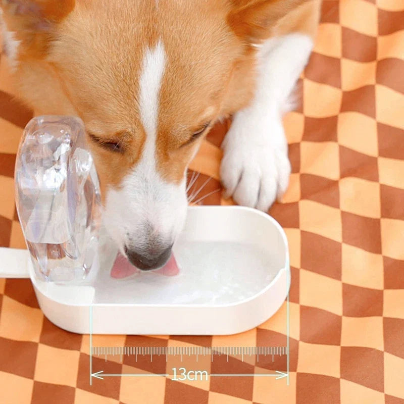 Dual-Chamber Pet Travel Bottle
