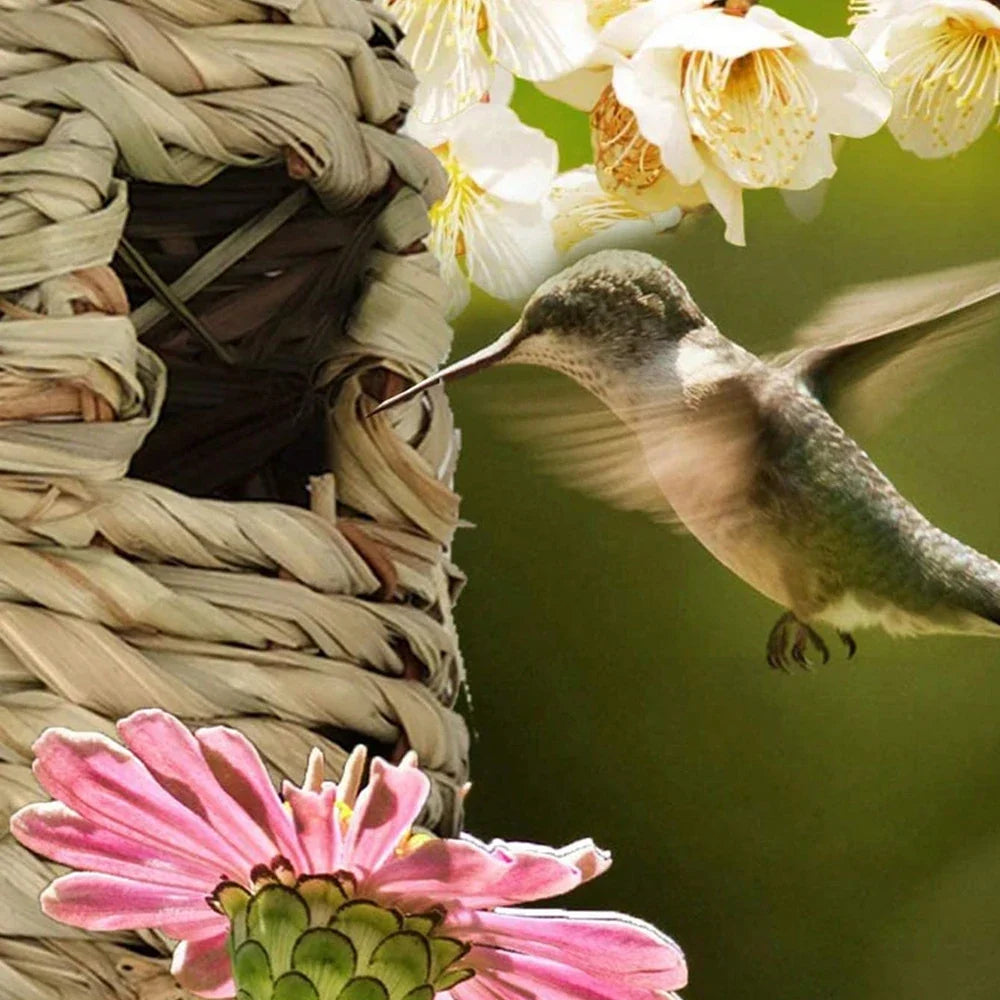 Natural Grass Bird Nest