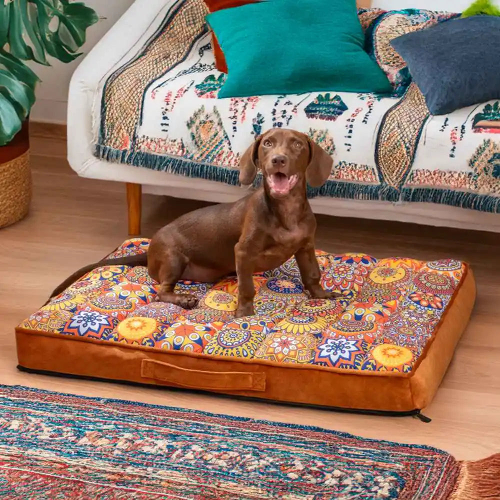 Maroccan Orthopedic Bed