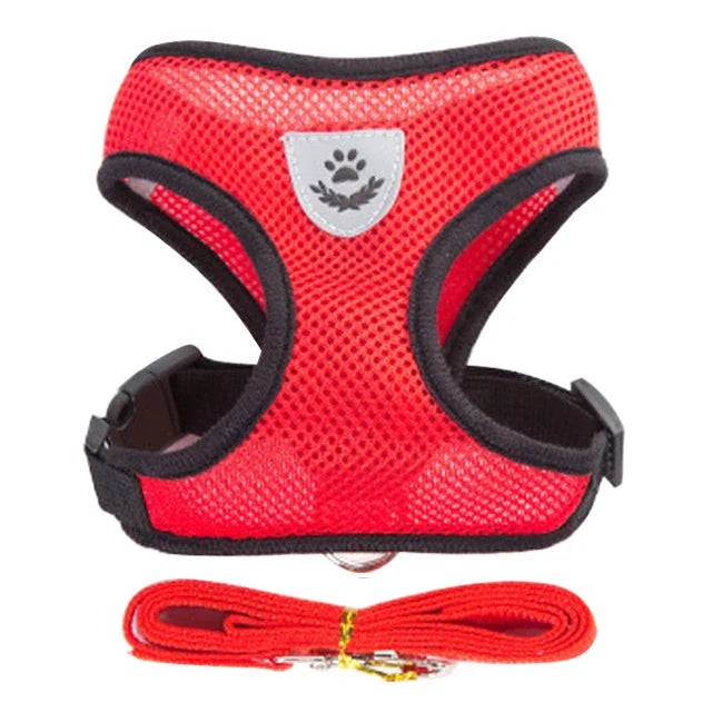 FlexiFit Adjustable Pet Harness & Leash Set