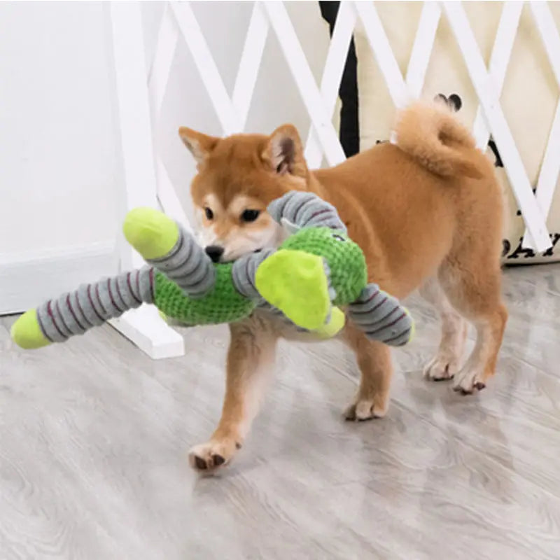ToughTug Squeaky Plush Molar Toy