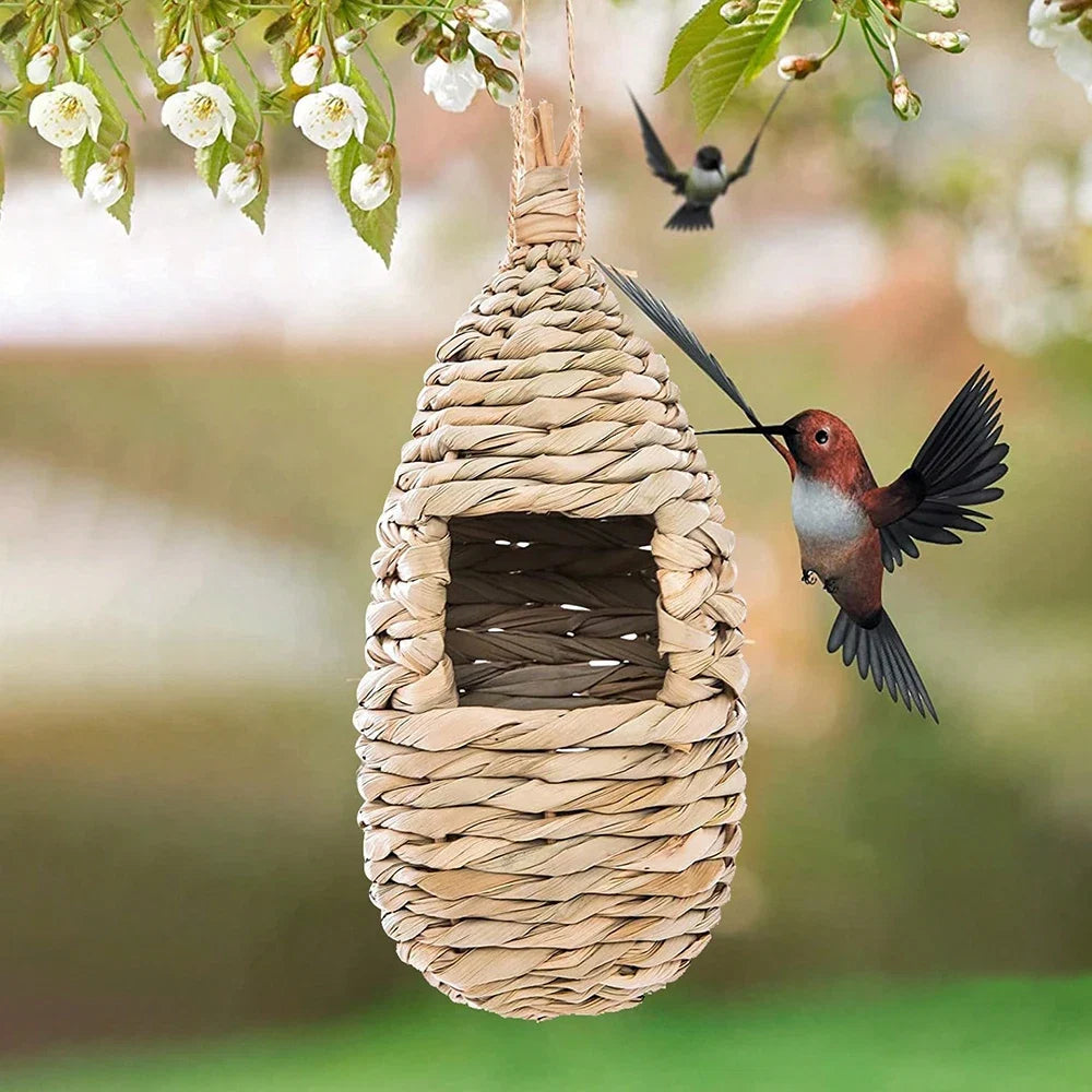 Natural Grass Bird Nest