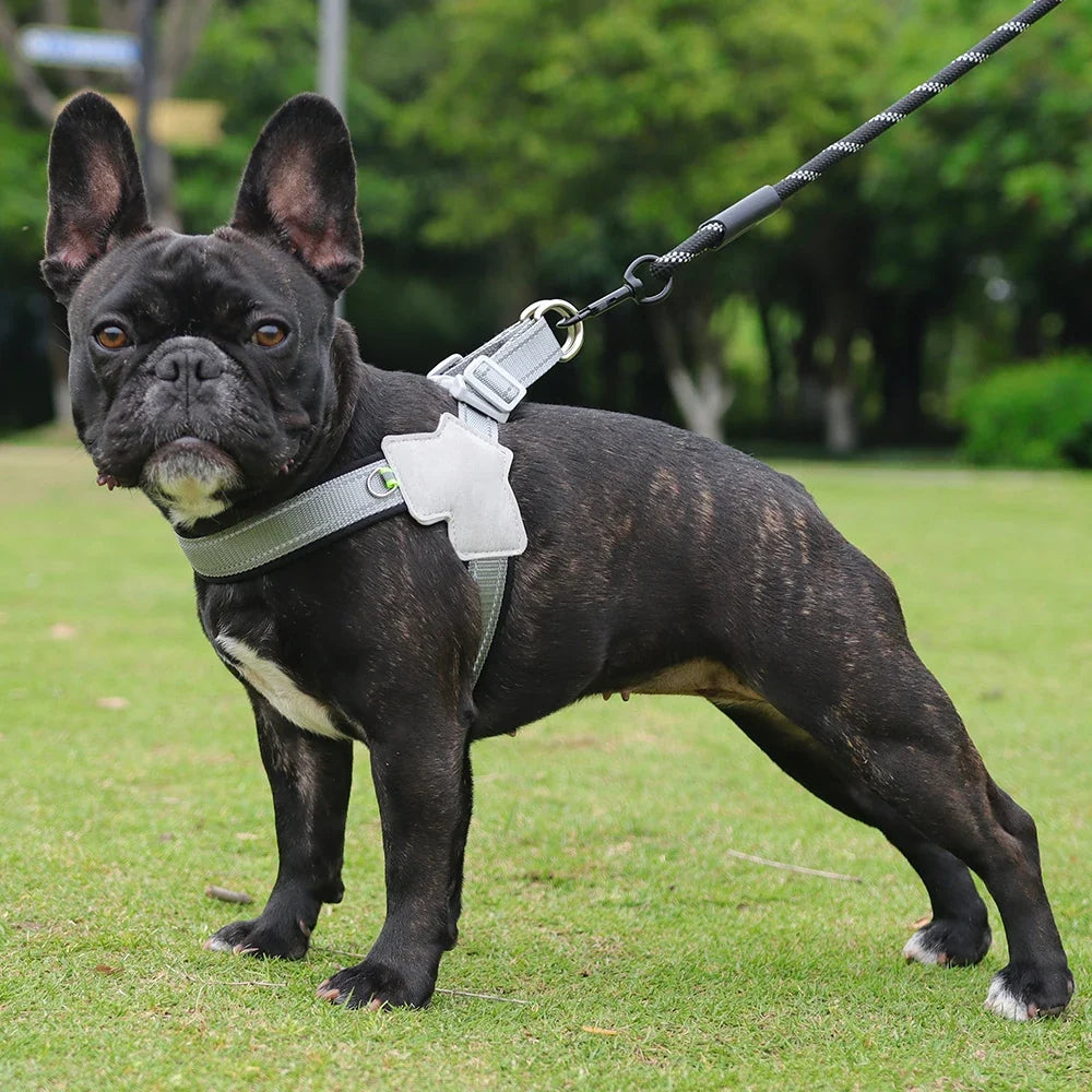 AeroStride No-Pull Safety Harness