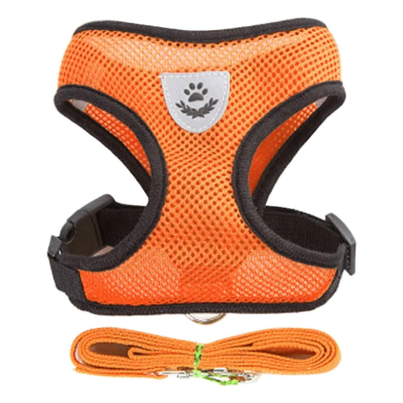 FlexiFit Adjustable Pet Harness & Leash Set