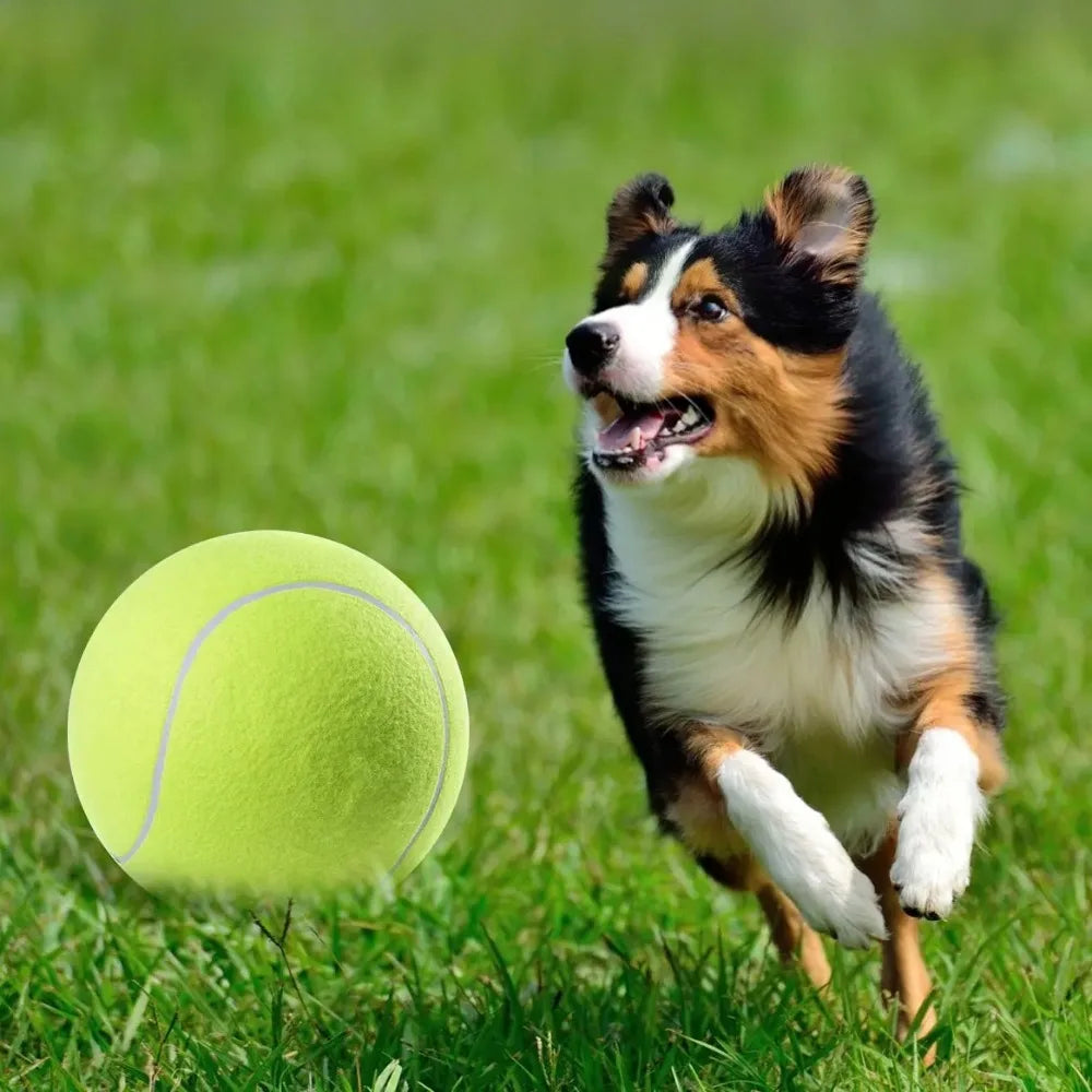 TitanSphere Jumbo Fetch Ball