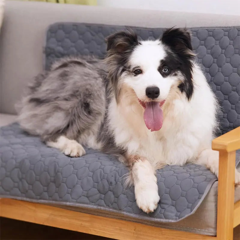 Shield-Tech Pet Pad