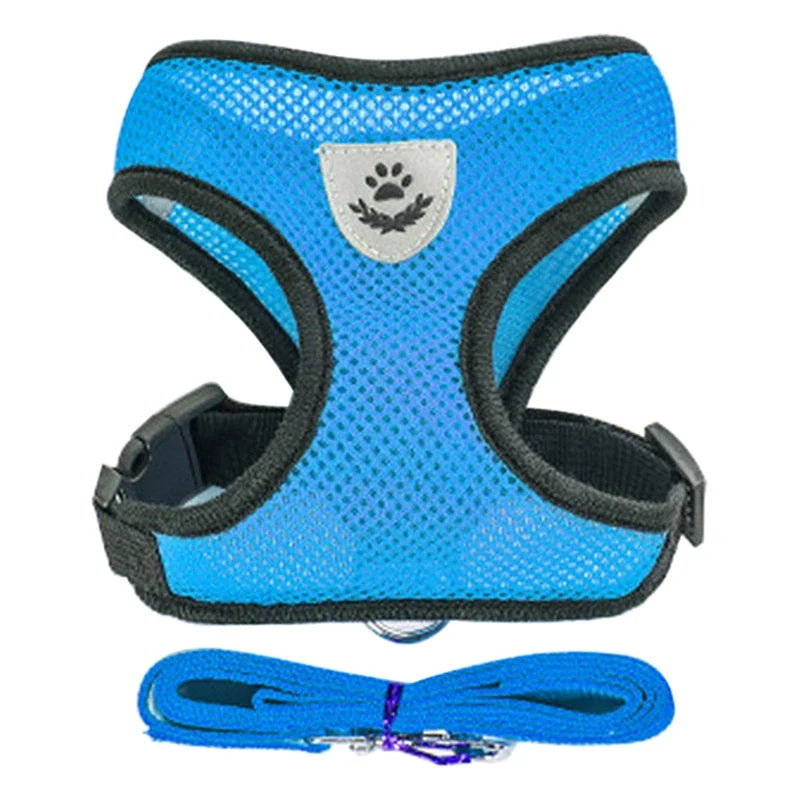FlexiFit Adjustable Pet Harness & Leash Set