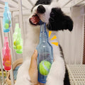 Plush Beer Bottle Toy