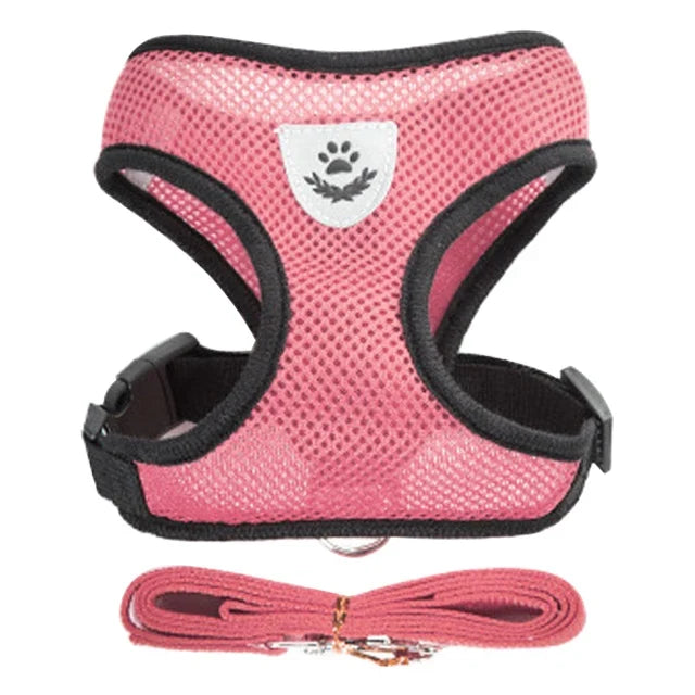 FlexiFit Adjustable Pet Harness & Leash Set