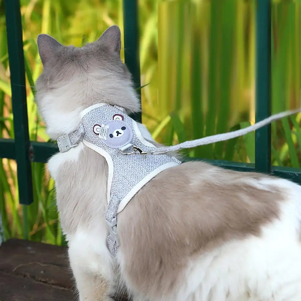PawTrail Adjustable Pet Harness & Leash Set