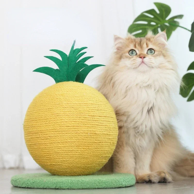 PinePlay Cat Scratching Ball & Climbing Frame