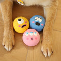 Squeaky Eyeball Fetch Toy