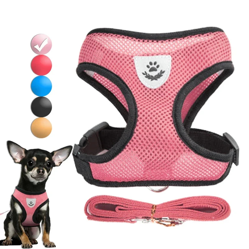 FlexiFit Adjustable Pet Harness & Leash Set