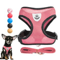 FlexiFit Adjustable Pet Harness & Leash Set