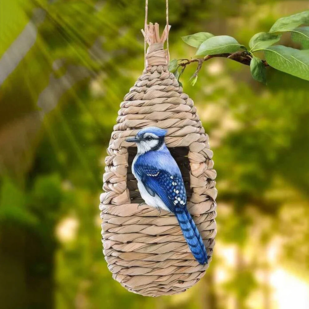 Natural Grass Bird Nest