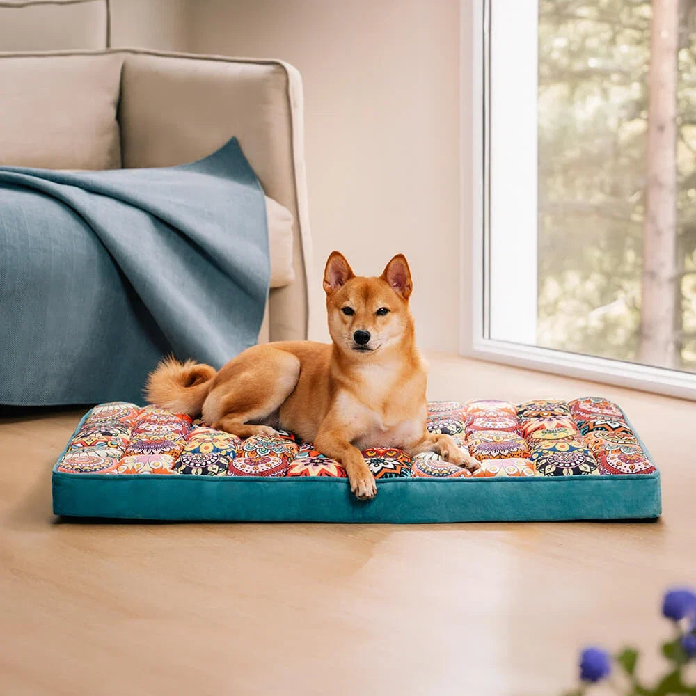 Maroccan Orthopedic Bed