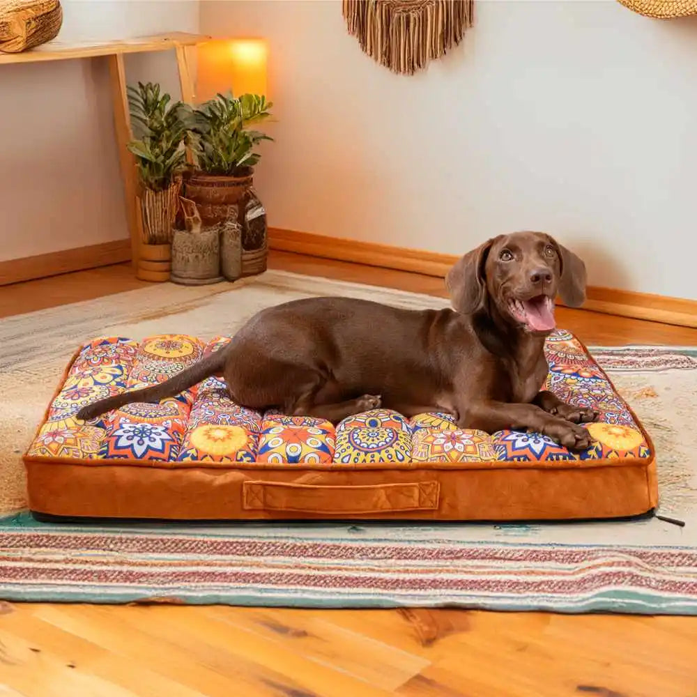 Maroccan Orthopedic Bed