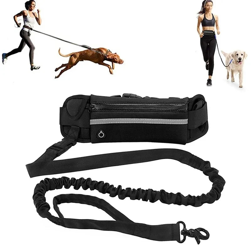 StrideFree Performance System