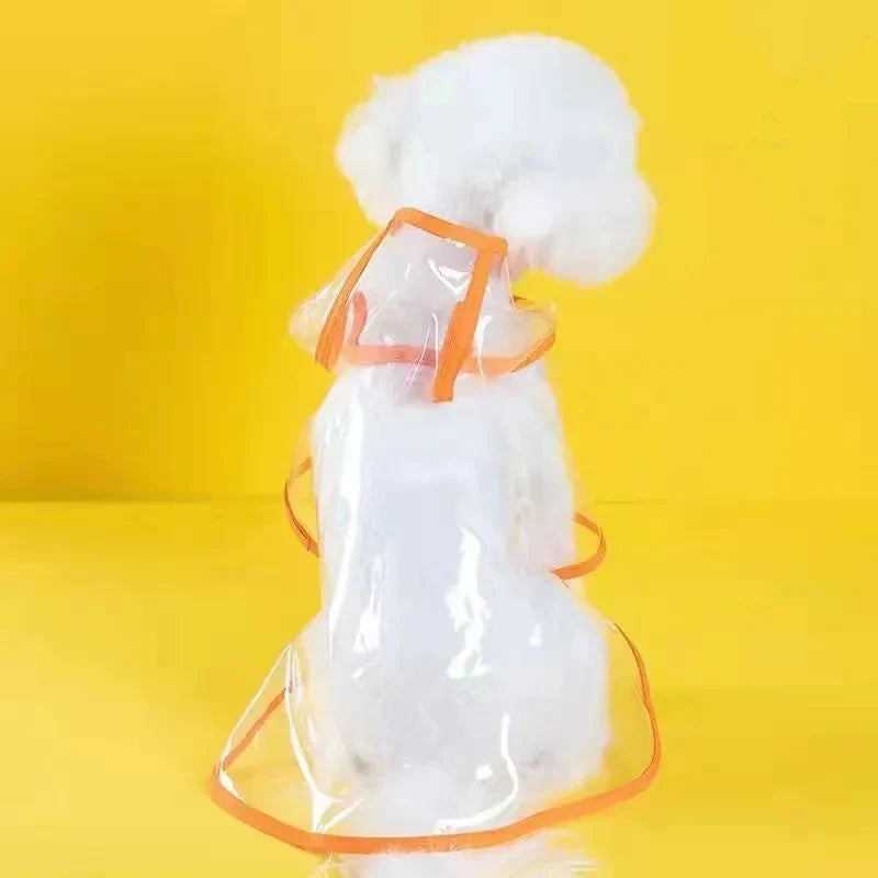 Clear Waterproof Raincoat