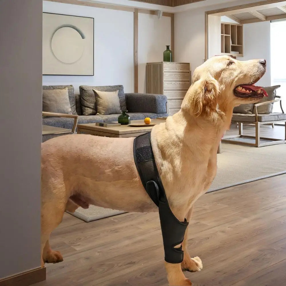 JointGuard Orthopaedic Support