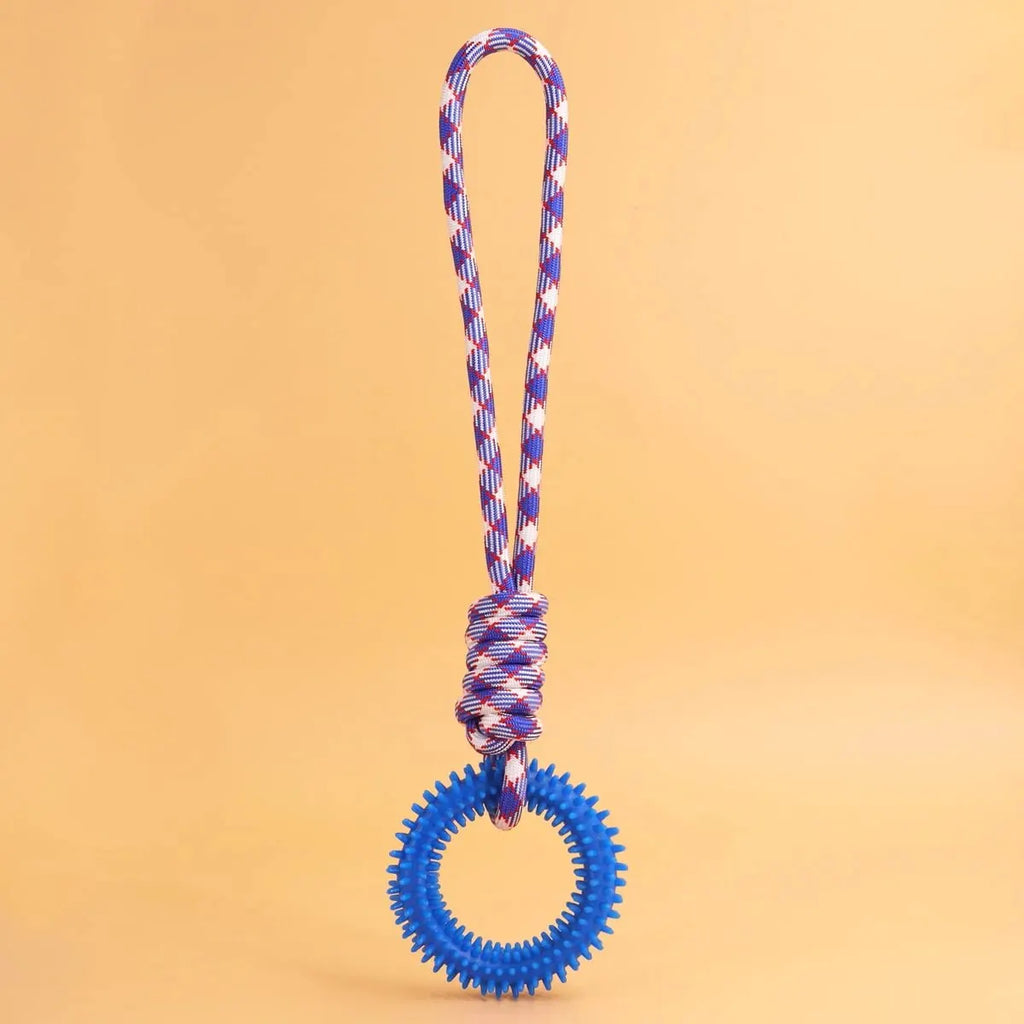 Dental Care Ring
