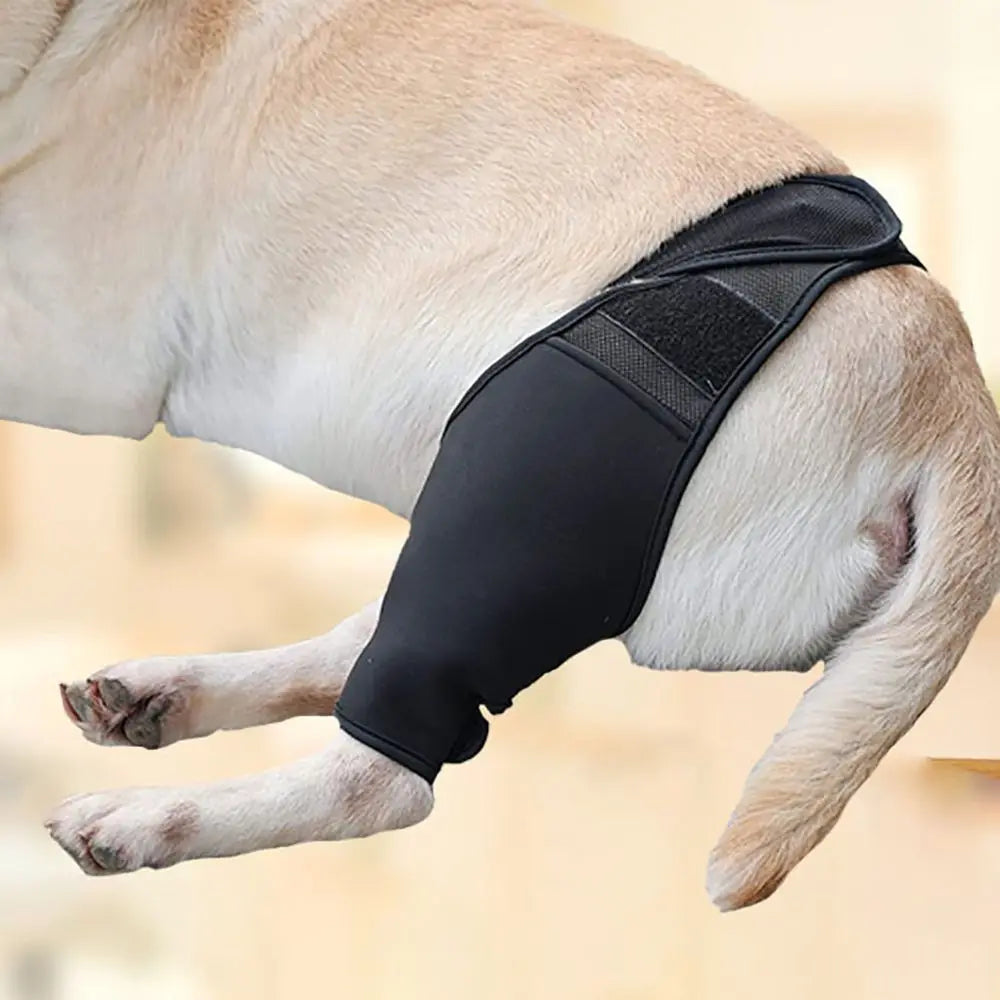 JointGuard Orthopaedic Support