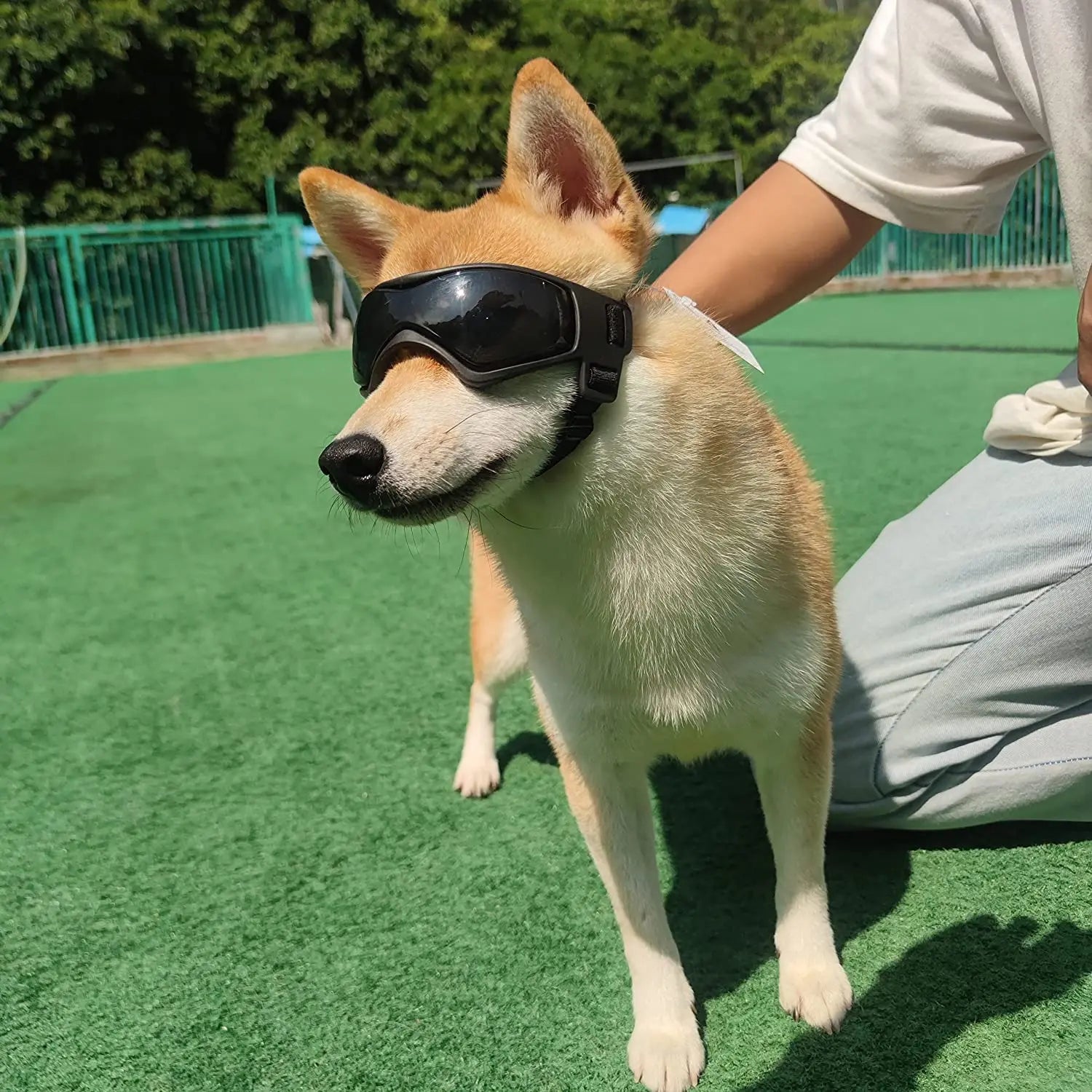 Guardian Pet UV Protection Goggles