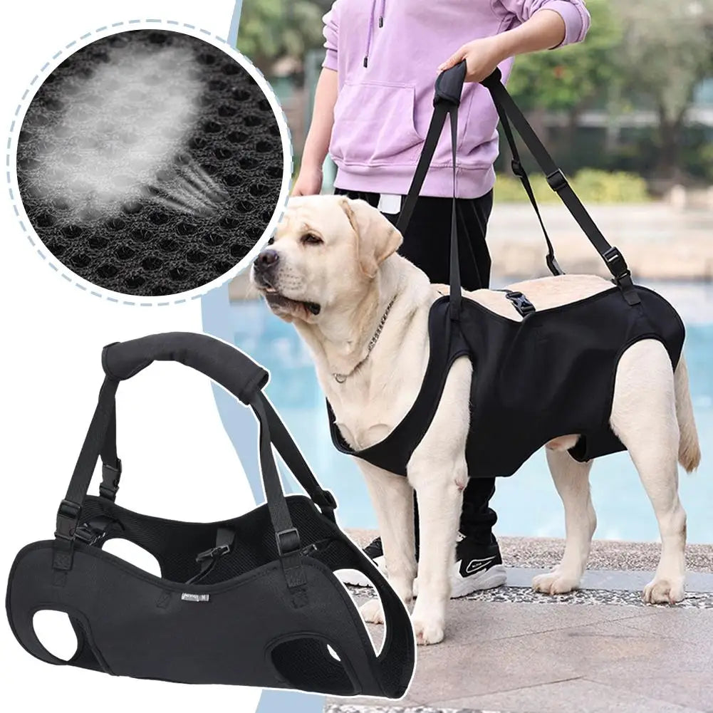 LiftEase Mobility Sling