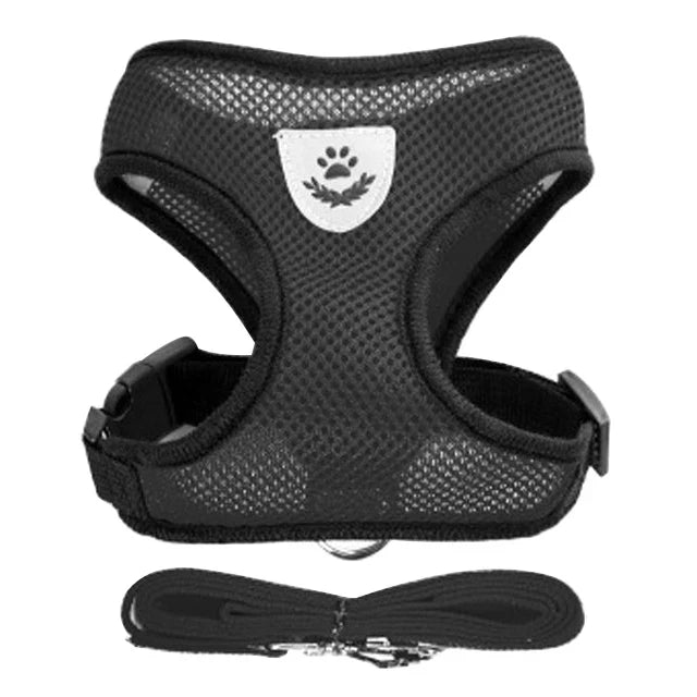 FlexiFit Adjustable Pet Harness & Leash Set