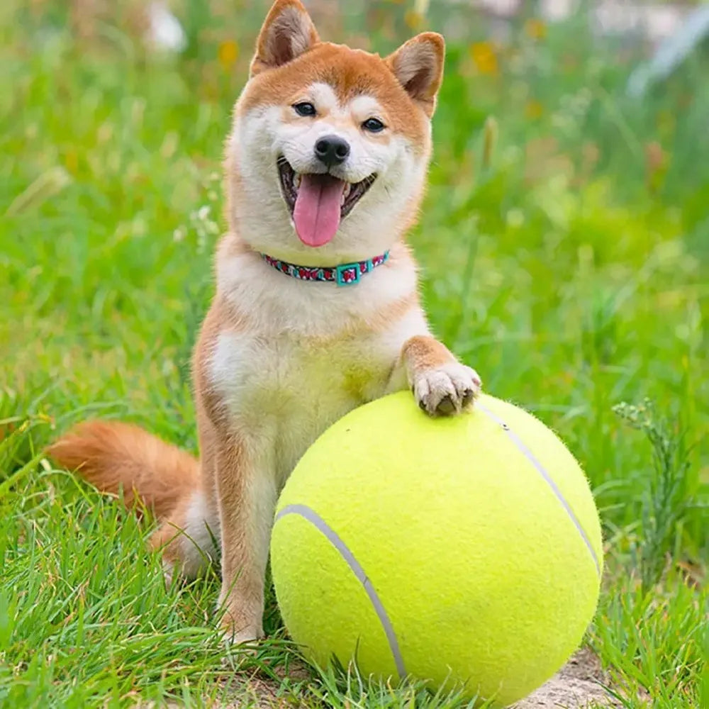 TitanSphere Jumbo Fetch Ball