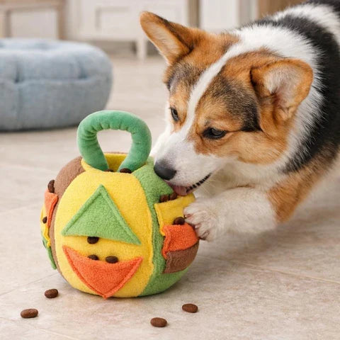 Nose-Work Puzzle Set