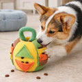 Nose-Work Puzzle Set
