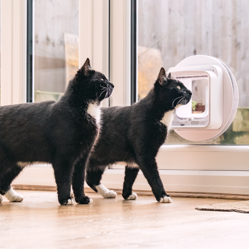 SureFlap Microchip Cat Flap Connect And Hub
