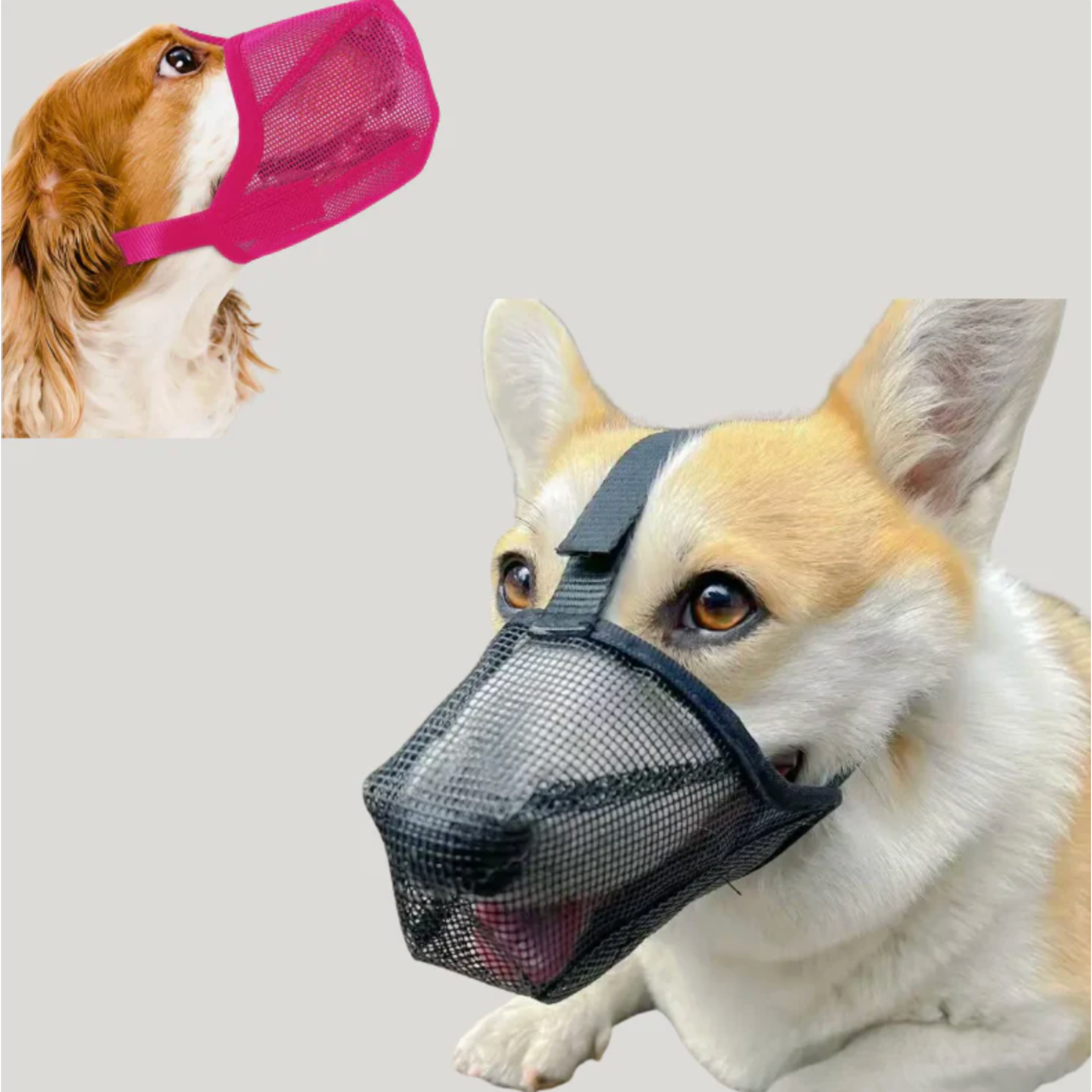 GoldenGuard Dog Mesh Muzzle