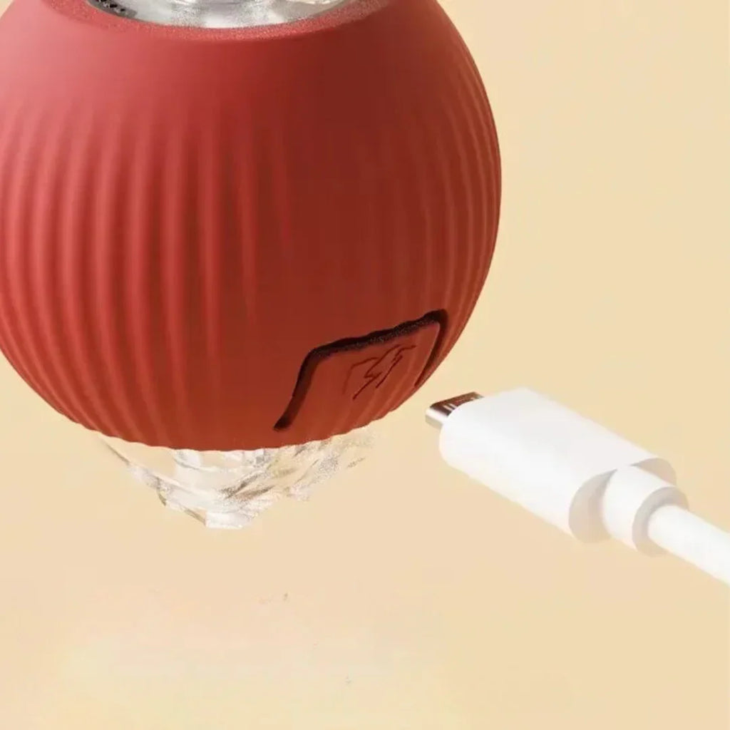 RolliTail
