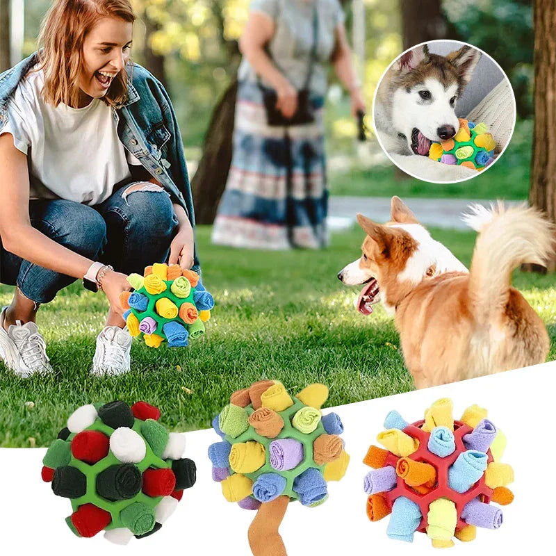 SniffRoll Puzzle Ball